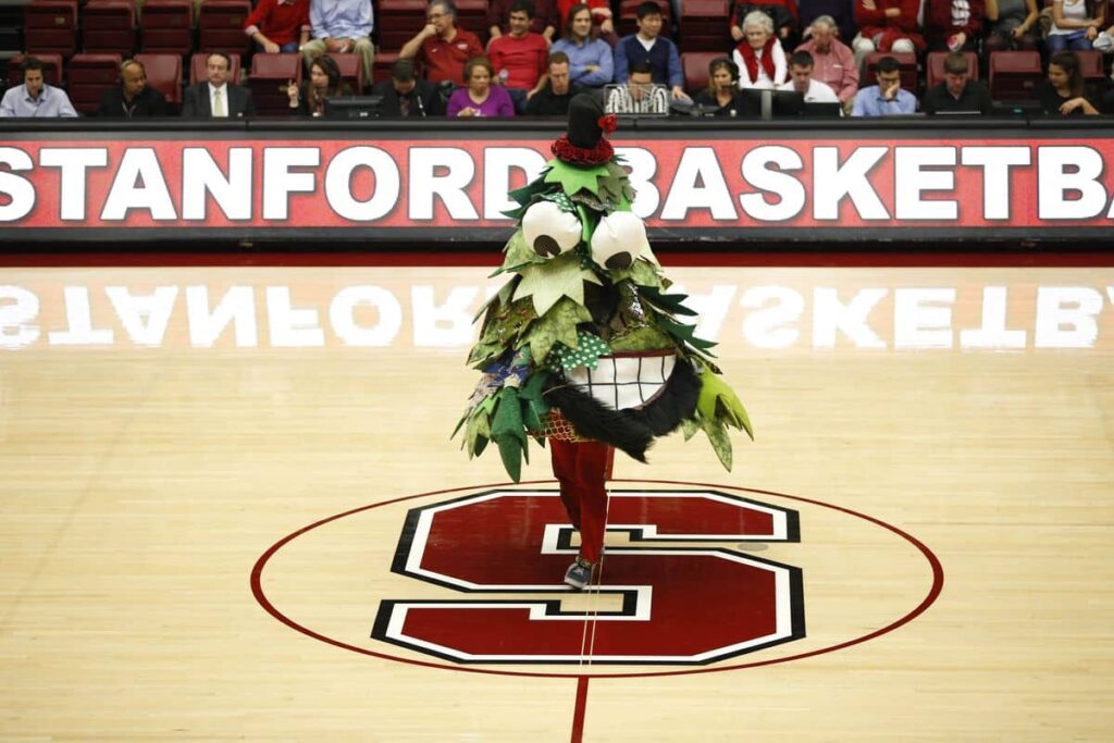 stanford tree mascot