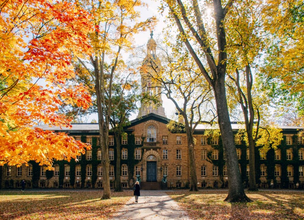 università di Princeton