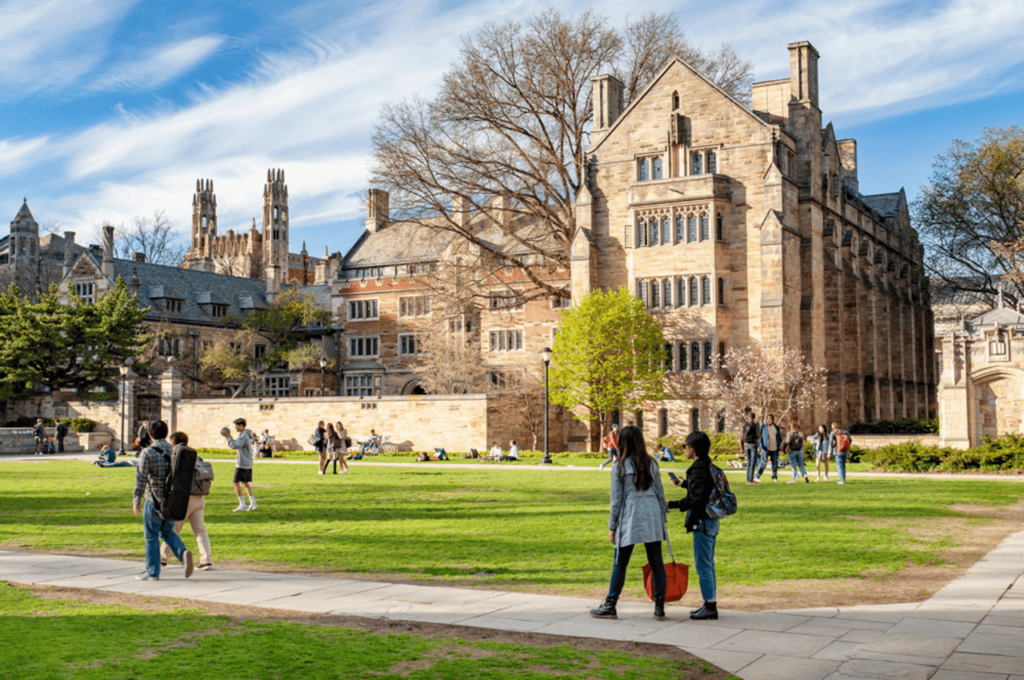 Università di Yale